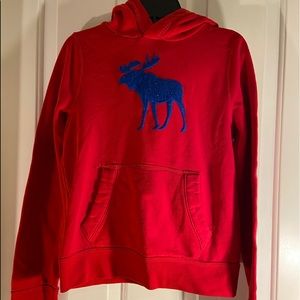 Abercrombie Kids Hoodie